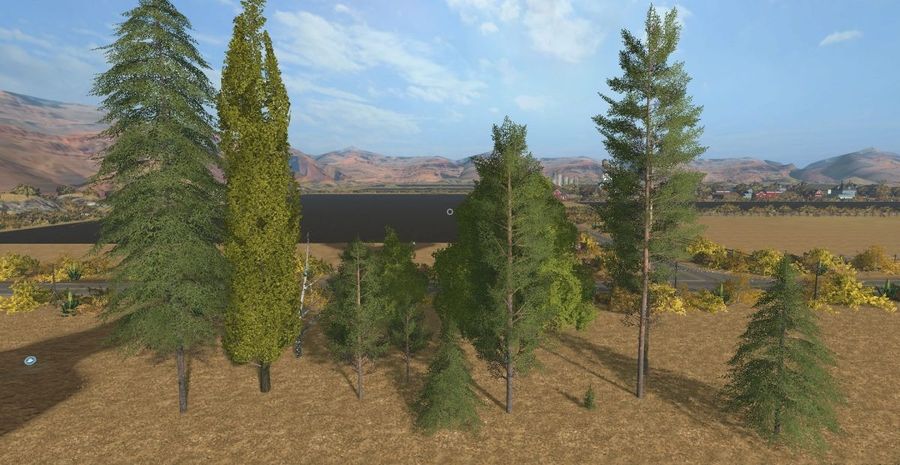 LOGGING TREES