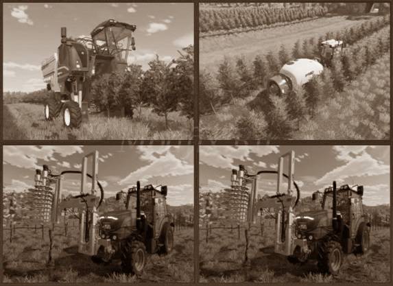 Картинка мода Виноград и оливки для фермеров Farming Simulator 22 как особое растение в игре Farming Simulator 2022